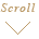 scroll button